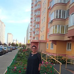 �����, ���������, 61 ���