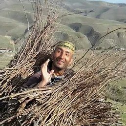 �����, ������, 44 ����