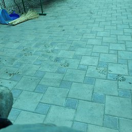 Dowlet, ���������, 38 ���