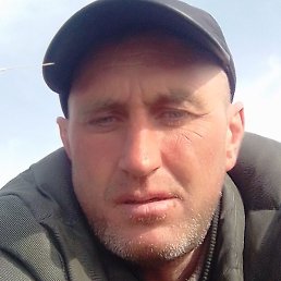 �����, ������, 41 ���