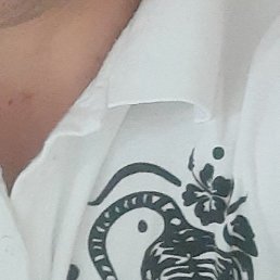 ����, �����������, 34 ����