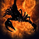 ���� Nord, ������, 41 ��� - ��������� 11 ������� 2023 � ������ ���� ����������