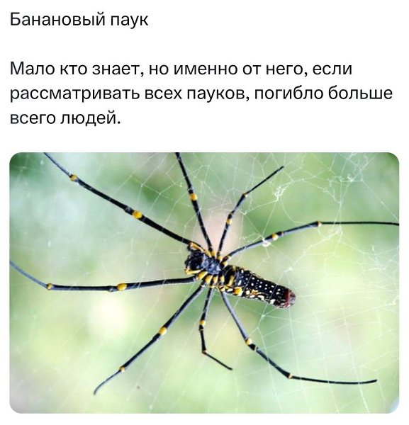  ?!      ,  ))