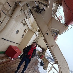 ����, �����-���������, 33 ����