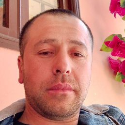 ��������, �����, 40 ���