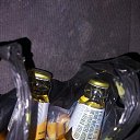���� �����, ������, 40 ��� - ��������� 19 ���� 2023 � ������ ���� ����������