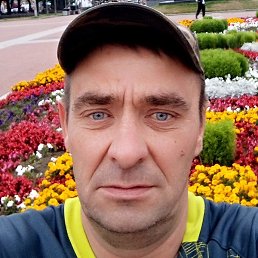 �������, �����-���������, 46 ���