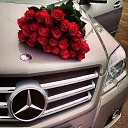 ���� �������, ������, 28 ��� - ��������� 26 �������� 2023 � ������ ���� ����������