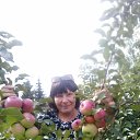 ���� �������, ����, 63 ���� - ��������� 3 �������� 2023 � ������ ���� ����������