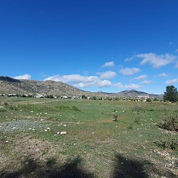 ����, �������, 41 ���