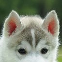 ���� �����, ������, 51 ��� - ��������� 31 ��� 2023 � ������ ���� ����������