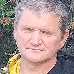 ������, �������, 54 ����