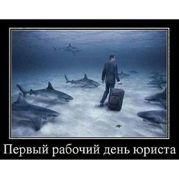 �����, �����, 42 ����