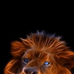 �����, ���������, 45 ���