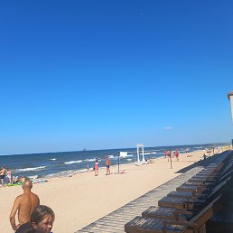 ����, ���������, 41 ���