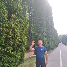 ���������, ����������, 49 ���