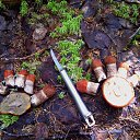 ���� �����, �����-���������, 63 ���� - ��������� 27 ������� 2023 � ������ ������ ��������