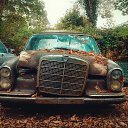 ���� ����, ������, 56 ��� - ��������� 17 �������� 2023 � ������ ���� ����������