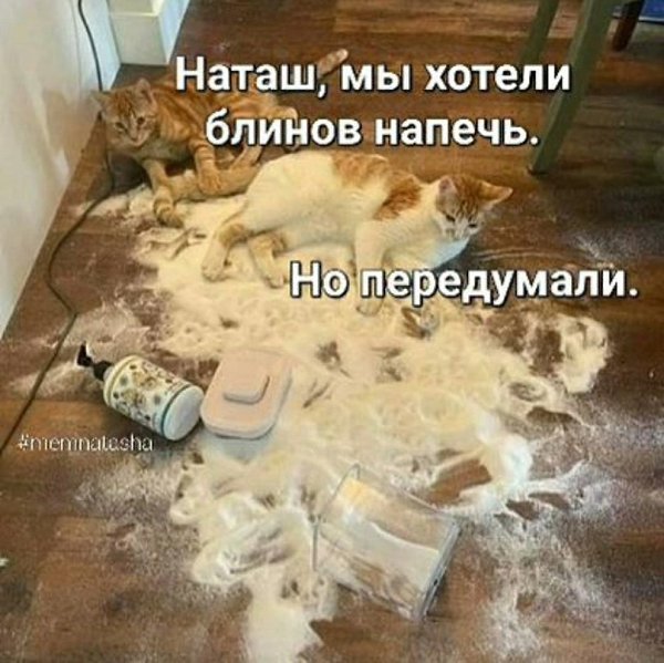   - 2  2023  22:31