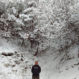 ����, �����, 71 ���