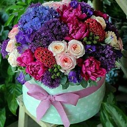 Dilya, �����, 57 ���