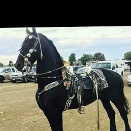 ���� ����, ����������, 30 ��� - ��������� 13 ������� 2023