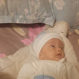 �������, �����-���������, 47 ���