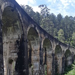 ���� ������, ������, 54 ���� - ��������� 14 ����� 2023