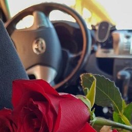 ����, ������, 37 ���