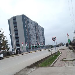 ���� Arif, ������, 42 ���� - ��������� 9 ��� 2023