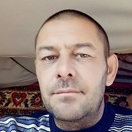 ������, �������, 48 ���