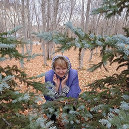 �������, ������, 69 ���