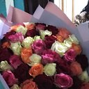 ���� �����, �����, 36 ��� - ��������� 29 ���� 2023 � ������ ���� ����������