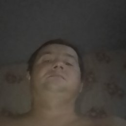 ����, ������, 46 ���