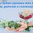 ���� Griki, ����� - ��������� 6 ������� 2023