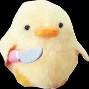 �����, 29 ���, �����������