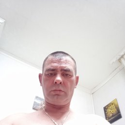 ���� �������, ������, 46 ��� - ��������� 28 ���� 2023