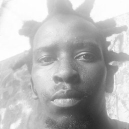 Papy, �����, 31 ���