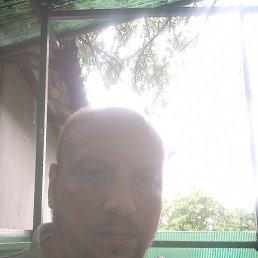 �������, ������, 42 ����