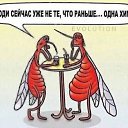 ���� ����, ������, 49 ��� - ��������� 15 �������� 2023 � ������ ���� ����������