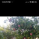 ���� ����, �������, 48 ��� - ��������� 28 ��� 2023