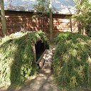 ���� ������, ������, 50 ��� - ��������� 23 ���� 2023