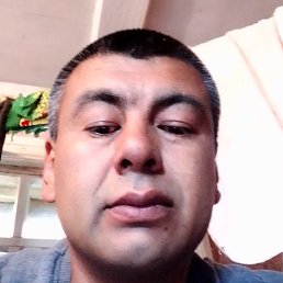�����, ������, 41 ���