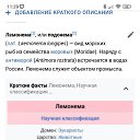 ���� �����, ������, 62 ���� - ��������� 22 ���� 2023