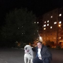 ����, ������, 43 ����