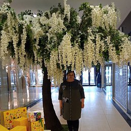 �������, �����, 62 ����