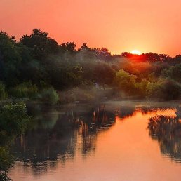 ���������, ��������, 69 ���