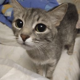 ���� �������, ������������, 49 ��� - ��������� 30 ���� 2023