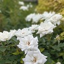 ���� �����, ������, 63 ���� - ��������� 25 ���� 2023 � ������ ���� ������ ���....�