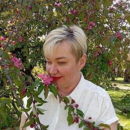 ���� �����, �������, 49 ��� - ��������� 11 ���� 2023